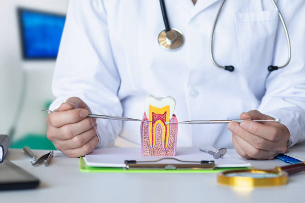 Best Emergency Orthodontic Repairs in Orangetree, FL